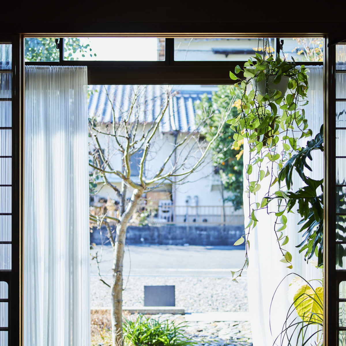 追従する更新 in 1-1Architects office