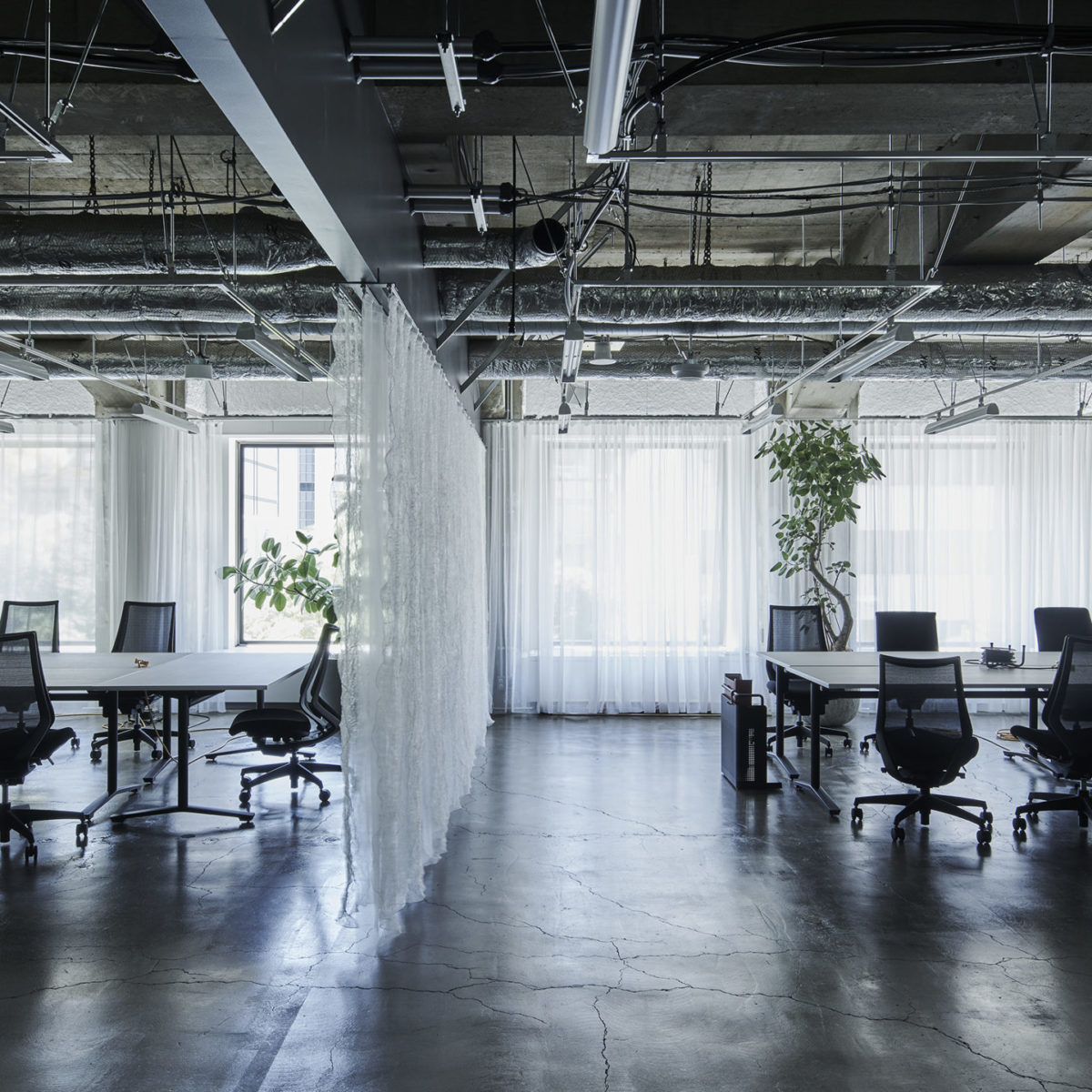 Lingua Franca 2.0 in「THE CAMPUS」