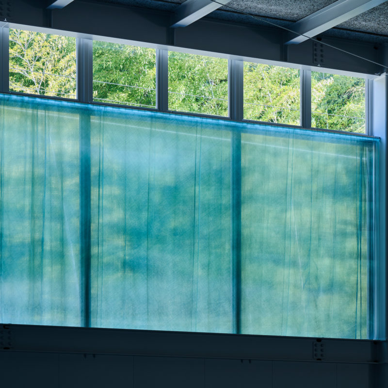 輪郭の刮目、瞬間の残置 in「D Office」